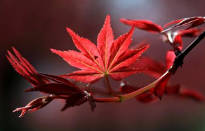 企業(yè)選擇短信營(yíng)銷平臺(tái)的好處 企業(yè)選擇短信營(yíng)銷平臺(tái)的好處