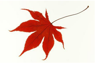 短信群發(fā)平臺(tái)安全嗎 短信群發(fā)平臺(tái)安全嗎